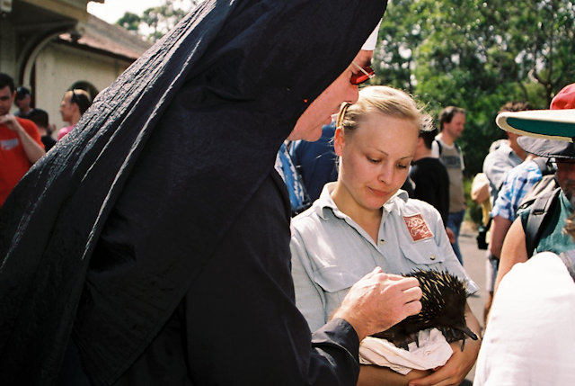 Zoo Walk 2006