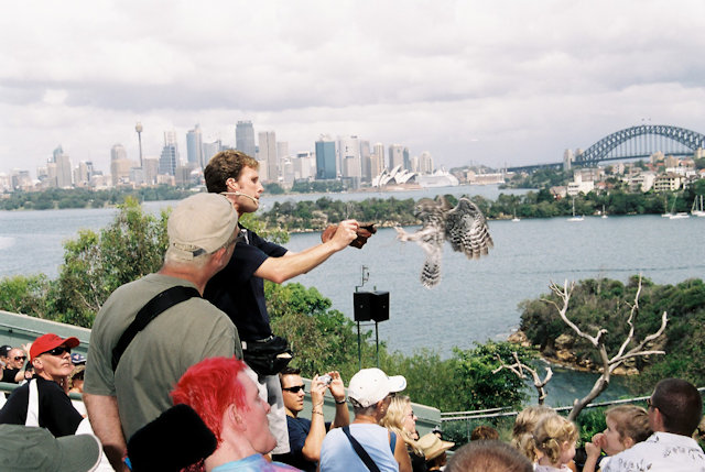 Zoo Walk 2006