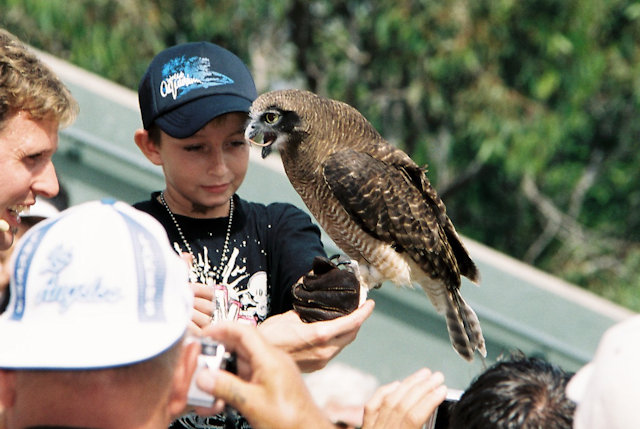 Zoo Walk 2006