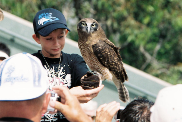 Zoo Walk 2006