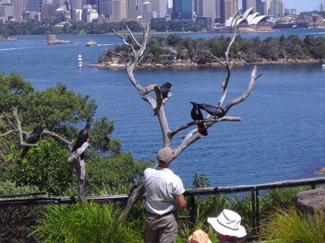 Zoo Walk 5 March 2003