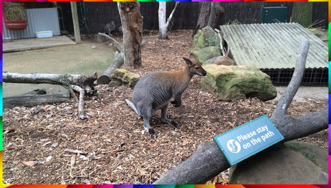 Zoo Walk 27 February 2014