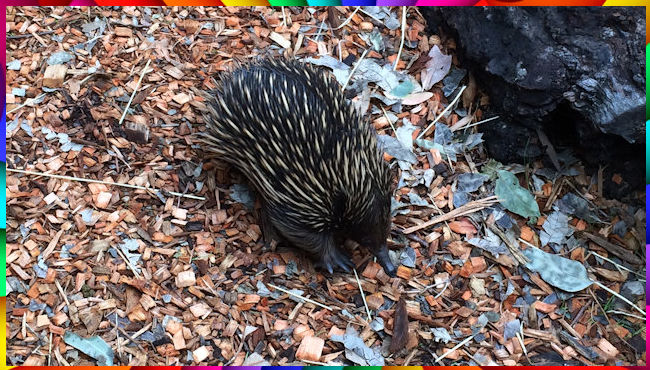 Zoo Walk 27 February 2014