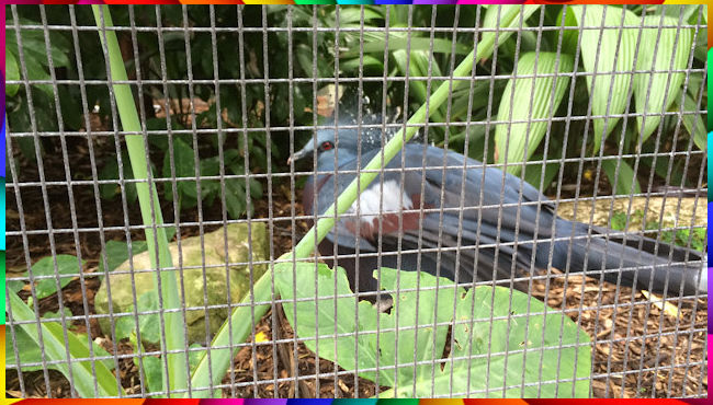 Zoo Walk 27 February 2014