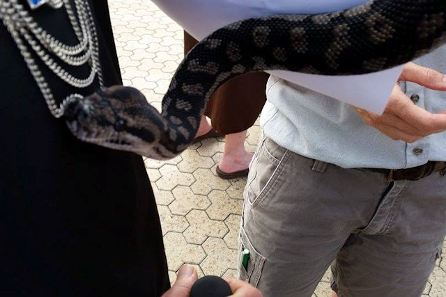 Zoo Walk, Taronga Zoo 5/3/2015