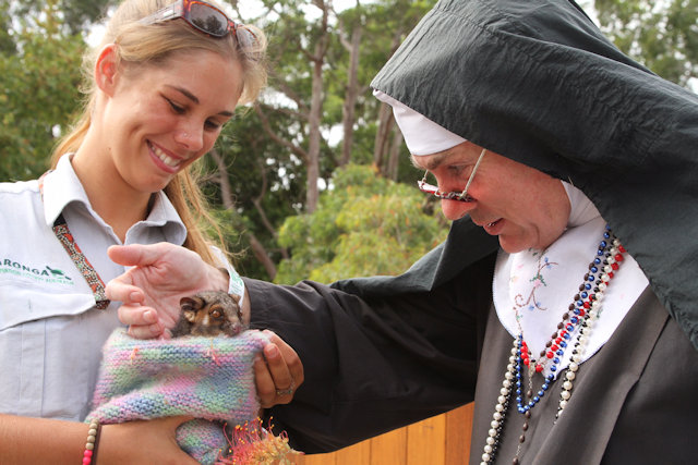 Zoo Walk, Taronga Zoo 5/3/2015