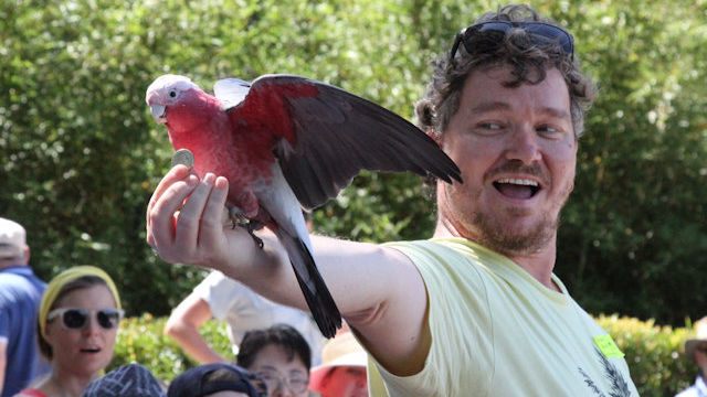 Zoo Walk 2016 3/3/2016