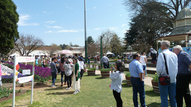 Tulip Time 23/09/2017