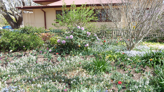 Tulip Time 23/09/2017