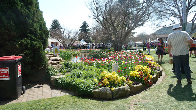 Tulip Time 23/09/2017
