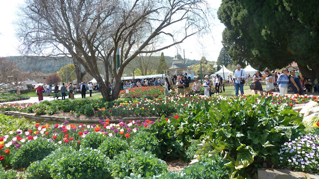 Tulip Time 23/09/2017