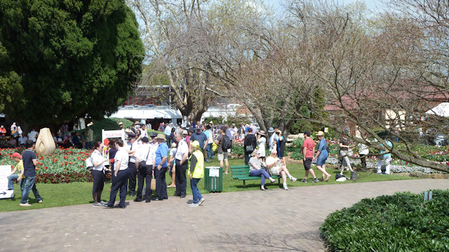 Tulip Time 23/09/2017