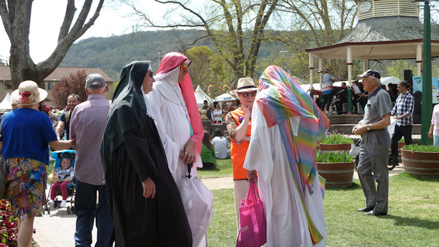 Tulip Time 23/09/2017