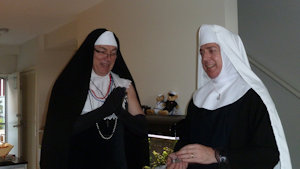 The Profession Of Sister Catheter