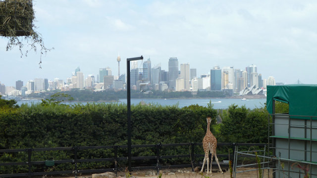 Zoo Walk 2018