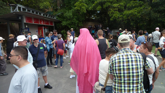 Zoo Walk 2018