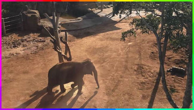 Zoo Walk 28-2-2019