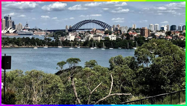 Zoo Walk 28-2-2019