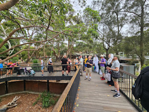 Zoo Walk 2026